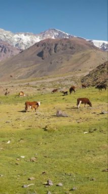 Maipo rezervuarının ve Yeso Doğal Parkı 'nın havadan çekimleri, Santiago, Şili dikey