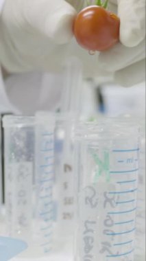 Bilim adamı dikey olarak biyoloji laboratuvarında deneyler yapıyor. 