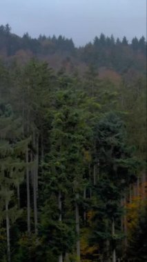 Kara Orman 'ın üzerinden dikey olarak Almanya' da havadan çekilmiş.