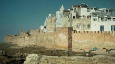 Deniz kıyısındaki Essaouira, Fas 'ta balıkçı tekneleri.