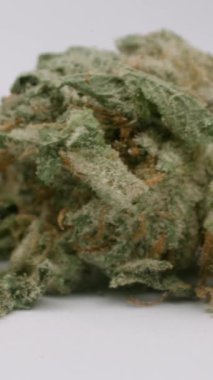 kenevir tomurcuklarının dikey olarak kapatılması