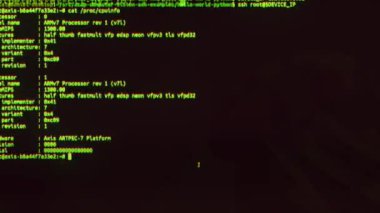 ekranda çalışan bilgisayar kodu ve veri 