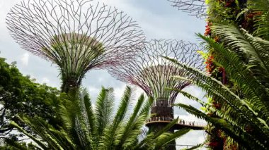 Singapur körfezindeki bahçelerin gündüz vakti zaman çizelgesi. 