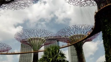 Singapur körfezindeki bahçelerin gündüz vakti zaman çizelgesi. 