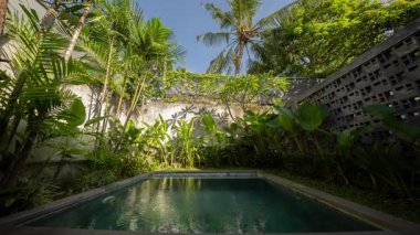 Tropik bir bahçede küçük lüks bir yüzme havuzu.