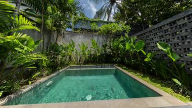 Tropik bir bahçede küçük lüks bir yüzme havuzu.