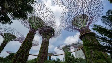 SINGAPORE - 5 Mart 2025: Singapur körfezinin yanındaki muhteşem bahçelerin zamanlaması 