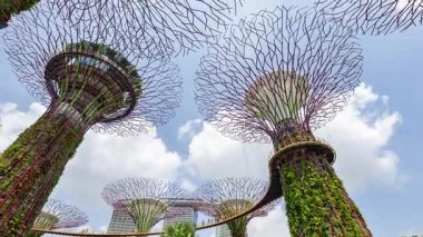 SINGAPORE - 5 Mart 2025: Singapur körfezinin yanındaki muhteşem bahçelerin zamanlaması 