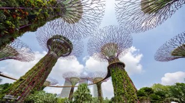 SINGAPORE - 5 Mart 2025: Singapur körfezinin yanındaki muhteşem bahçelerin zamanlaması 