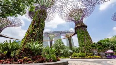 SINGAPORE - 5 Mart 2025: Singapur körfezinin yanındaki muhteşem bahçelerin zamanlaması 