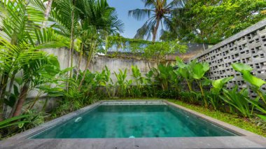 Tropik bir bahçede küçük lüks bir yüzme havuzu.