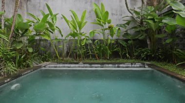 Palmiye ağaçlarının yemyeşil kırsalında lüks bir yüzme havuzu inşa edildi. 