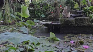 Bali 'deki bahçede güzel bir süs havuzu.