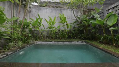 Palmiye ağaçlarının yemyeşil kırsalında lüks bir yüzme havuzu inşa edildi. 