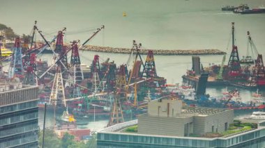 HONG KONG - 19 Mart 2025: Hong Kong kowloon limanı ve yüksek görüş açısına göre ufuk çizgisi 