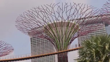 Singapur 'daki körfez kenarındaki bahçelerin gündüz çekimleri.