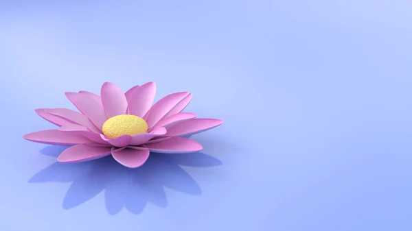 Цветок Лотоса Тихой Воде — стоковое фото