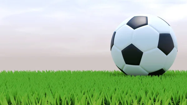 テキストエリアと芝生の上でサッカーボール — ストック写真