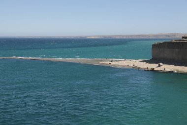 in the land of patagonia the nature and the wild