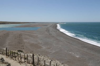 in the land of patagonia the nature and the wild