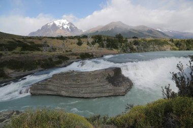 in the land of patagonia the nature and the wild