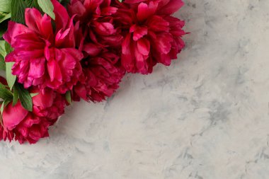 Frame of beautiful bright pink flowers peonies on a light background. top view.