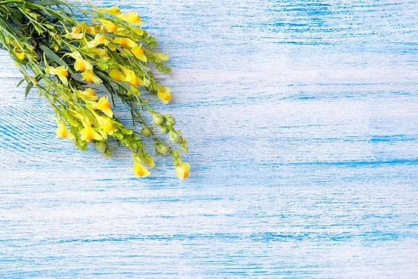 Mavi Ahşap Bir Masada Sarı Yabani Çiçekler Üst Manzara Metin — Stok fotoğraf