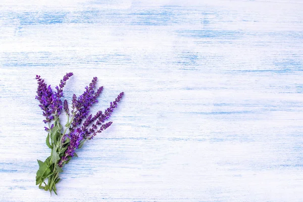 Narin Mavi Bir Masada Tıbbi Tarla Çiçeği Adaçayı — Stok fotoğraf