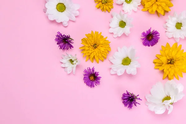 stock image a bouquet of various summer wild flowers on a delicate pink background in the form of a frame with a place for text