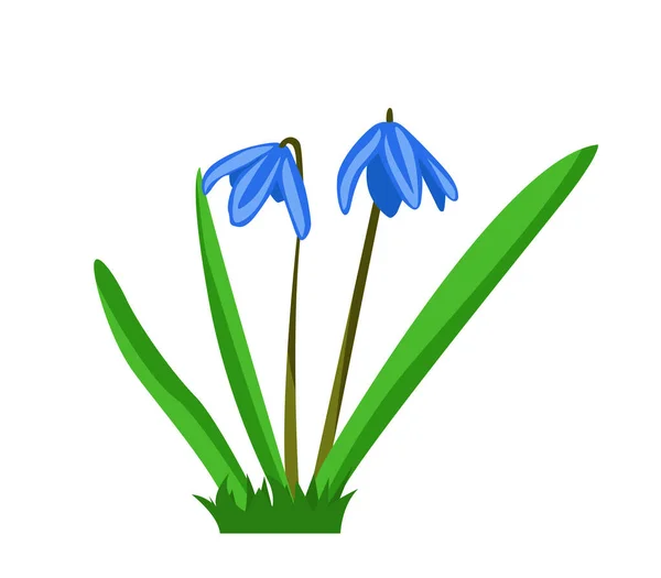 Cila Primavera Azul Dibujos Animados Vector Ilustración — Archivo Imágenes Vectoriales