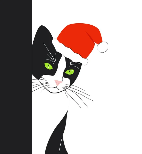 壁の後ろからクリスマスの帽子の緑の目の美しい黒と白の猫の目 — ストックベクタ