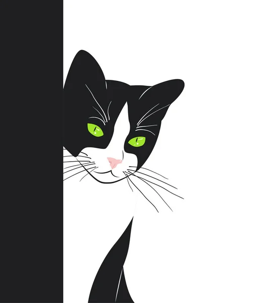 Yeşil Gözlü Güzel Siyah Beyaz Kedi Duvarın Arkasından Dışarı Bakıyor — Stok Vektör