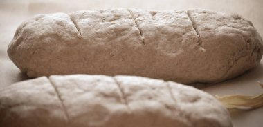 Raw whole grain bread, photo toned