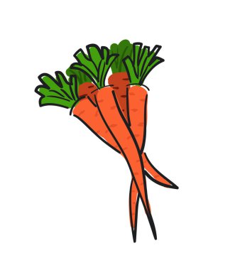 Bir grup genç havuç, vektör illüstrasyonu