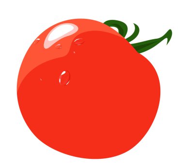 Su damlalı büyük olgun domates. Vektör illüstrasyonu