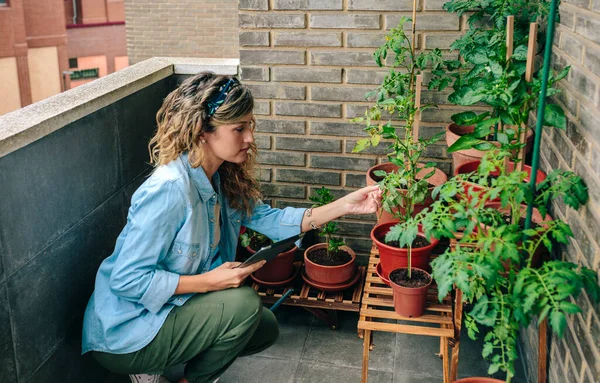 Jovem Mulher Verificando Plantas Jardim Urbano Terraço Apartamento Residencial Enquanto — Fotografia de Stock