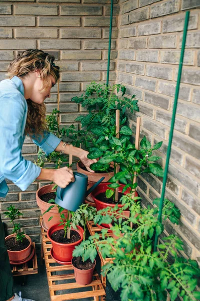 Jovem Mulher Usando Regador Pode Regar Plantas Jardim Urbano Terraço — Fotografia de Stock