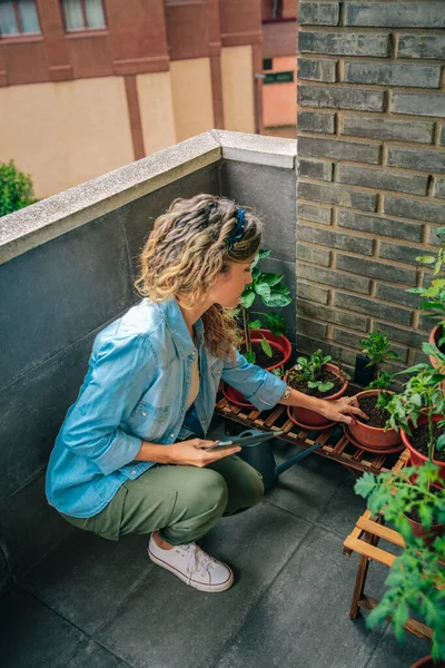 Молодая Женщина Смотрит Садоводческое Приложение Электронном Планшете Проверяя Растения Своего — стоковое фото