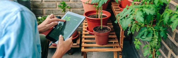 Unerkennbare Frau Pflegt Mit Garten App Mit Künstlicher Intelligenz Pflanzen — Stockfoto