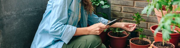 Nierozpoznawalna Kobieta Sprawdza Rośliny Miejskiego Ogrodu Tarasie Mieszkania Trzymając Ręku — Zdjęcie stockowe