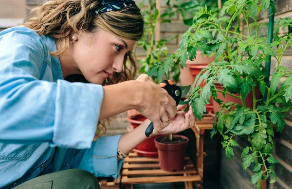 Retrato Jovem Jardineiro Usando Tesoura Poda Para Aparar Folhas Plantas — Fotografia de Stock