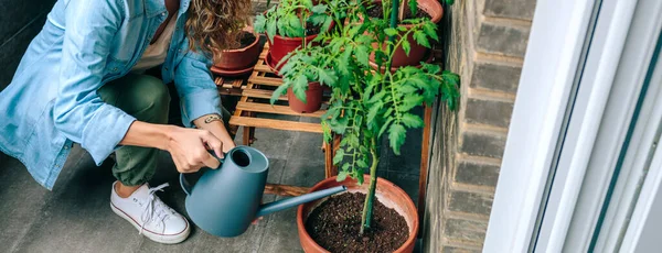 Mulher Irreconhecível Usando Regador Pode Regar Plantas Jardim Urbano Terraço — Fotografia de Stock