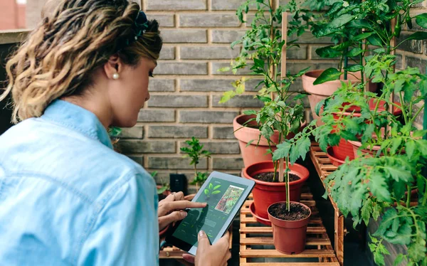 Jovem Mulher Digitalizando Plantas Por Inteligência Artificial Aplicativo Jardinagem Para — Fotografia de Stock