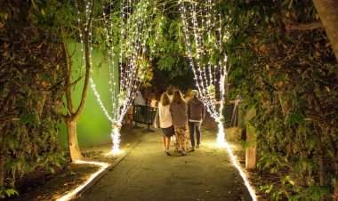 Tanınmayan arkadaş grubunun arka planda yürüdüğü bir yol var. Doğada bir yaz gecesi müzik festivaline katılmak için. Ampul çelenkleri ile aydınlatılmış.
