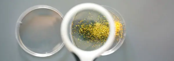 Primer Plano Lupa Sobre Muestra Brillo Dorado Placa Petri Laboratorio —  Fotos de Stock