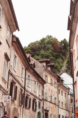 Old street in Slovenia. Roofs and windows on historic houses. High quality photo