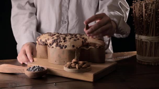 チョコレートとコロンバ 鳩の形をしたアーモンドとチョコレートでイースターイタリアのケーキ イタリアでは伝統的なお菓子です — ストック動画