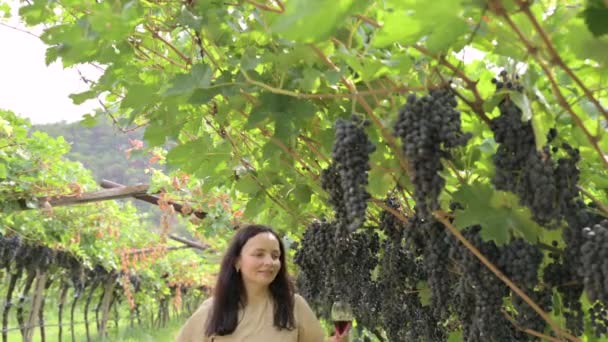 Wanita Cantik Bermimpi Mencicipi Anggur Merah Menikmati Musim Panas Tinggal — Stok Video