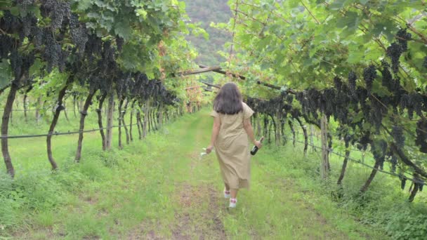 Beautiful Woman Dreaming Tasting Red Wine Enjoying Summer Stay Vineyards — Stok video