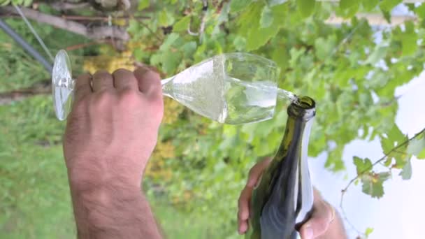 Glass Prosecco Vineyards Man Pours Glass White Wine Italian Alps — Stockvideo